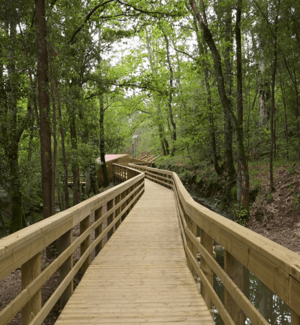 Acadiana Park Nature Station, Lafayette