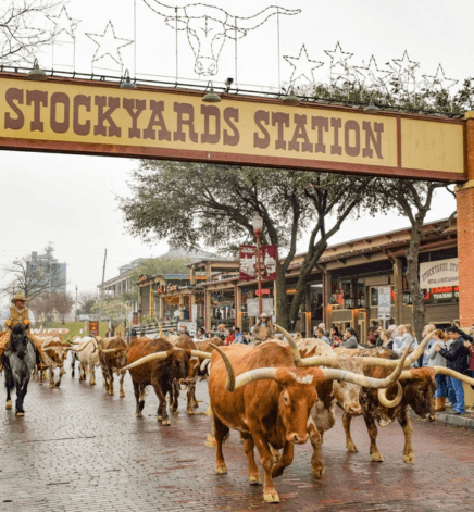 Fort Worth Stockyards, Fort Worth