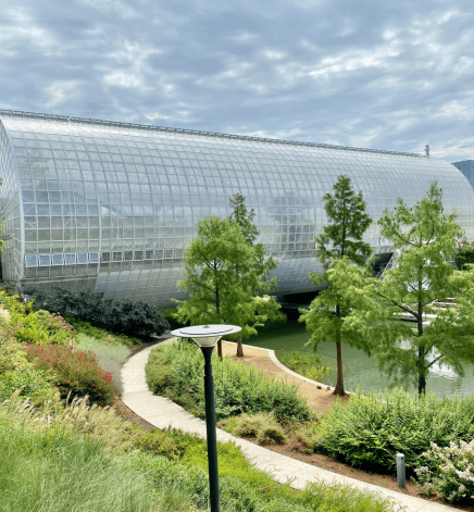 Myriad Botanical Gardens, Oklahoma City