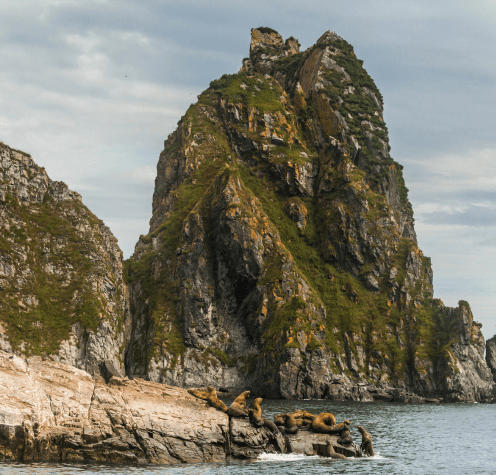 Southeast Farallon Island, San Francisco