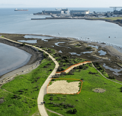 Heron’s Head Park, San Francisco