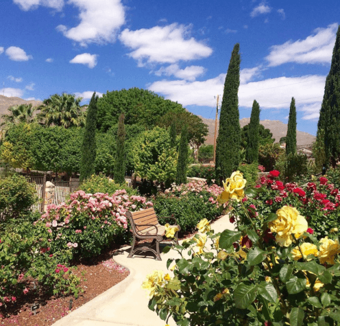 Municipal Rose Garden, San Jose