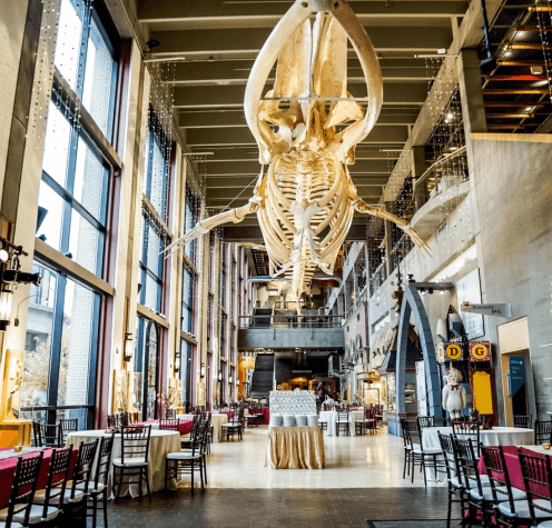 Grand Rapids Public Museum, Grand Rapids