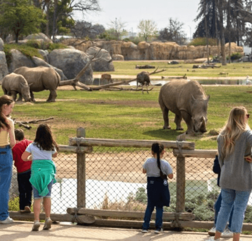 Fresno Chaffee Zoo, Fresno
