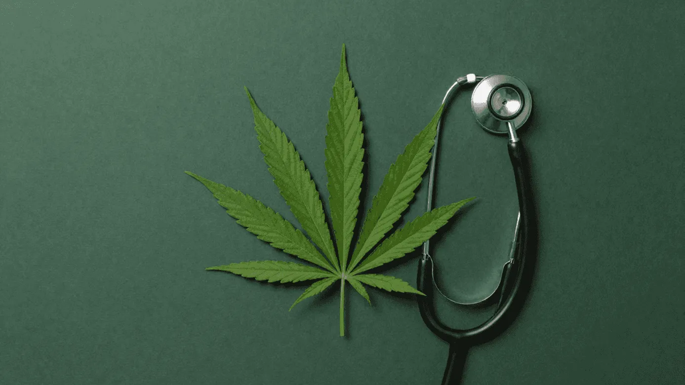 cannabis leaf and stethoscope representing medical marijuana qualifying conditions