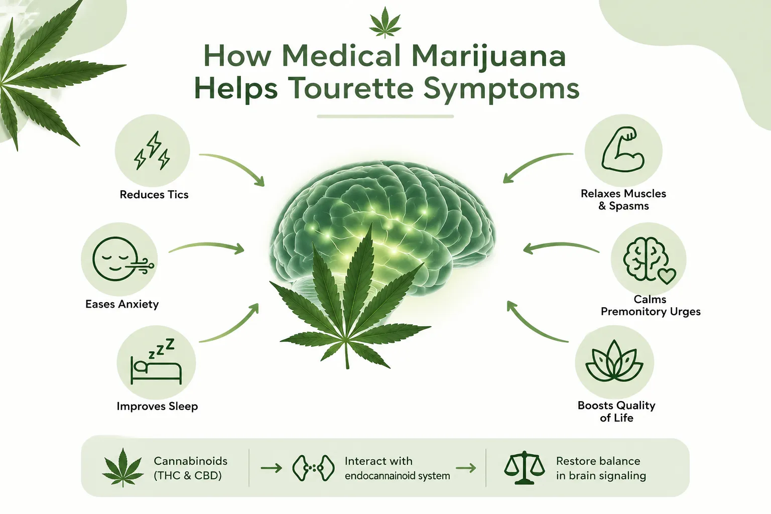 How Medical Marijuana Works