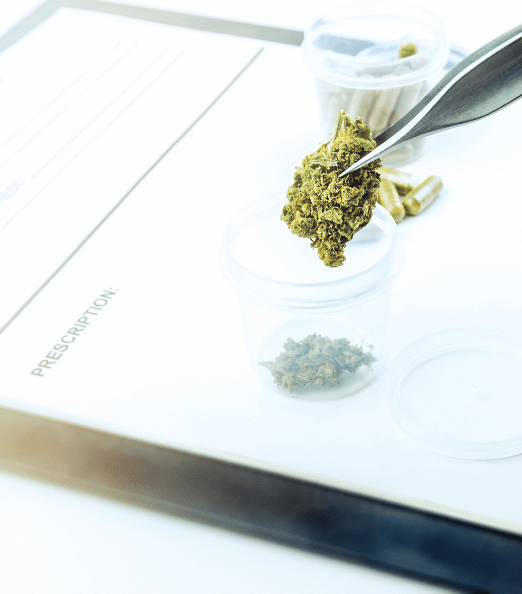 Medical marijuana card renewals and validity