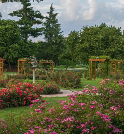 allentown rose gardens
