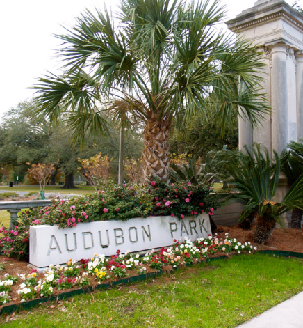 audubon park