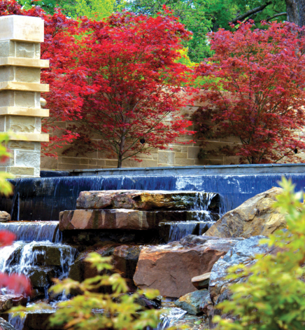 dallas arboretum