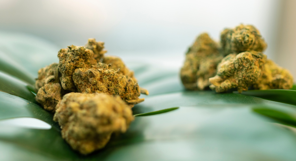 medical marijuana vs recreational