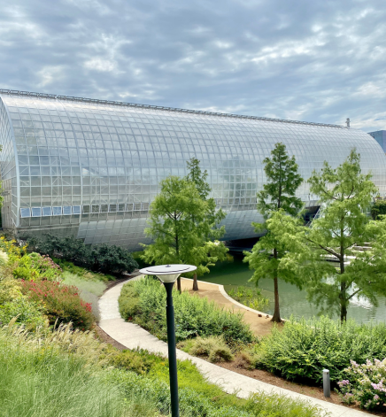 myriad botanical gardens