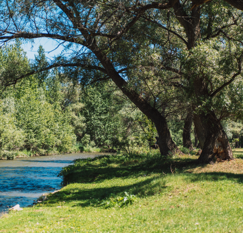 Fisher Meadows Recreation Area