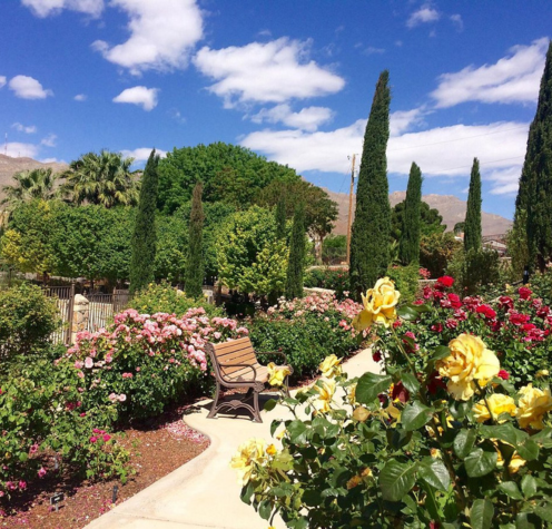 Municipal Rose Garden