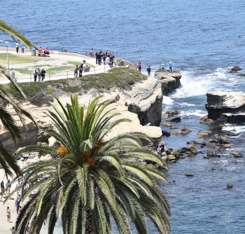 La Jolla Cove