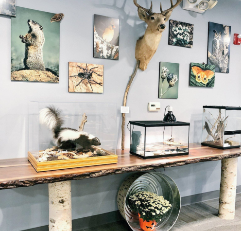 Sterling Heights Nature Center