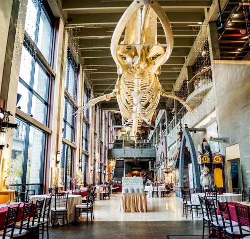 Grand Rapids Public Museum