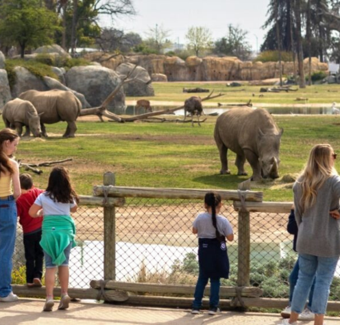 Fresno Chaffee Zoo